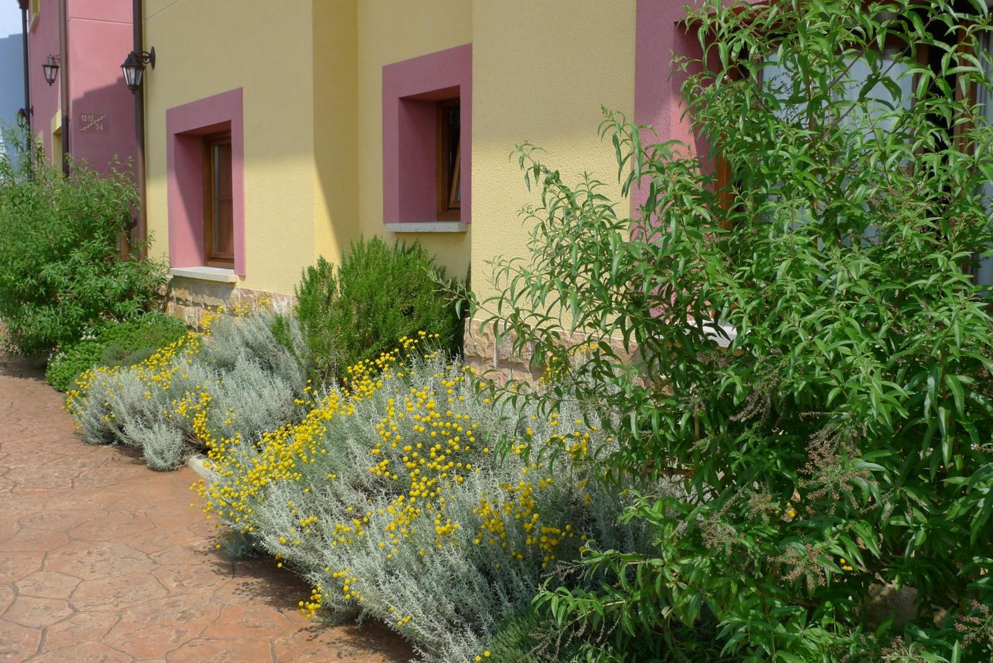 Apartamentos Rurales Antojanes Granda  Zewnętrze zdjęcie